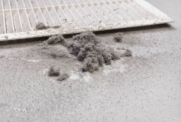 Best HVAC Maintenance and Cleaning  in St Anthony, ID