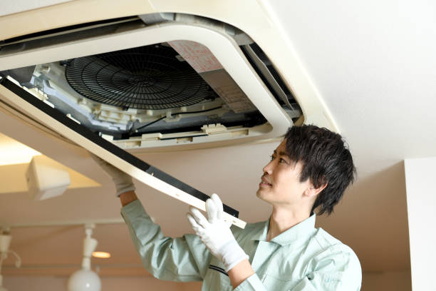 Air Duct Mold Removal in ID