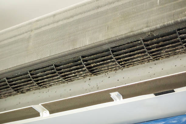 Best Commercial HVAC Duct Cleaning  in St Anthony, ID